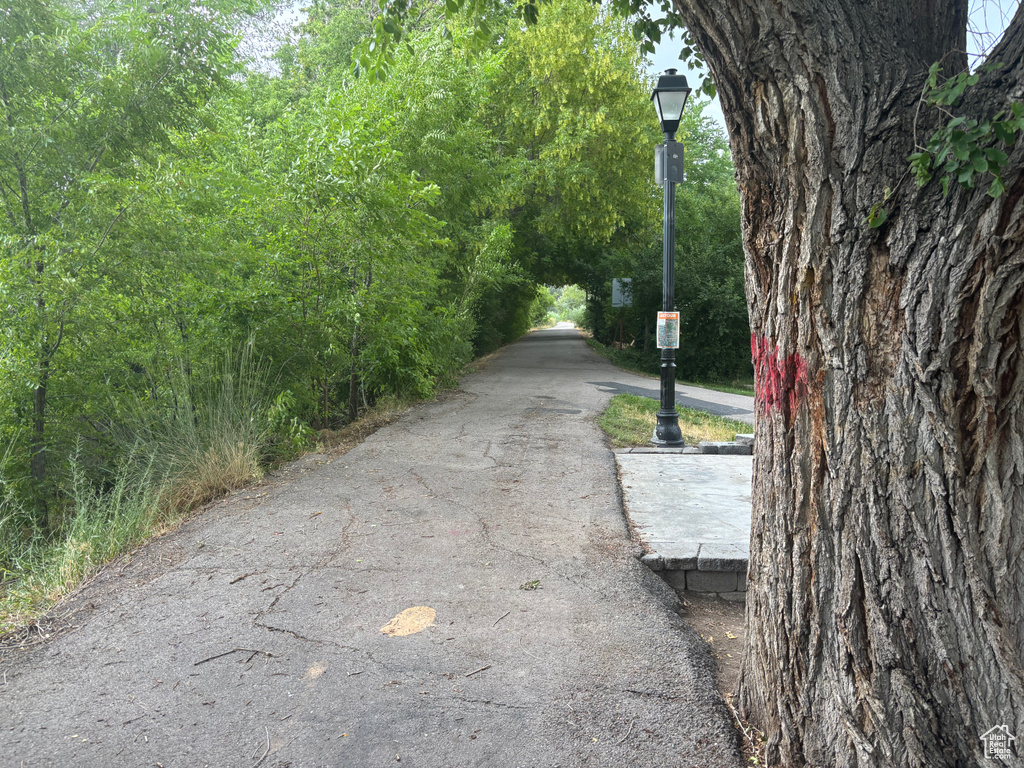 View of asphalt road featuring street lighting