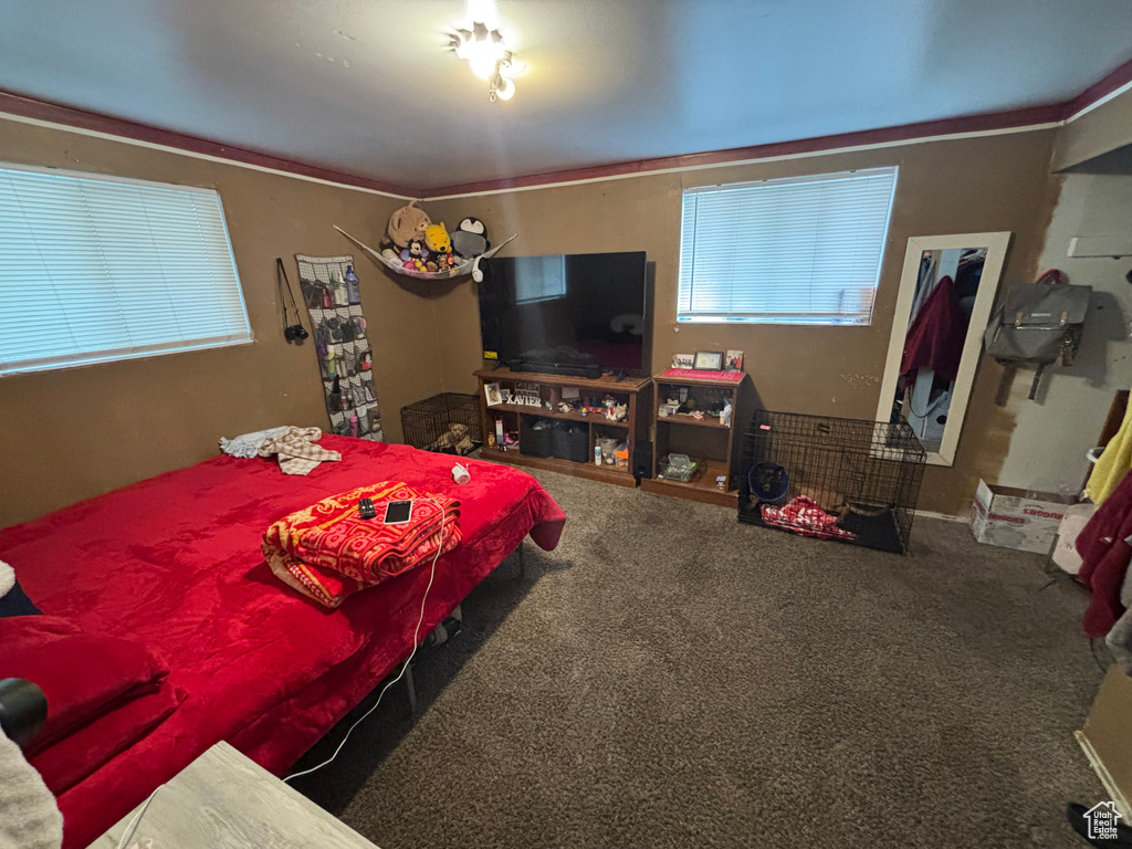 Bedroom with carpet floors and crown molding