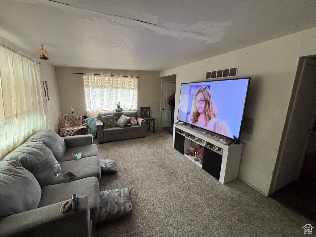 Living area with carpet