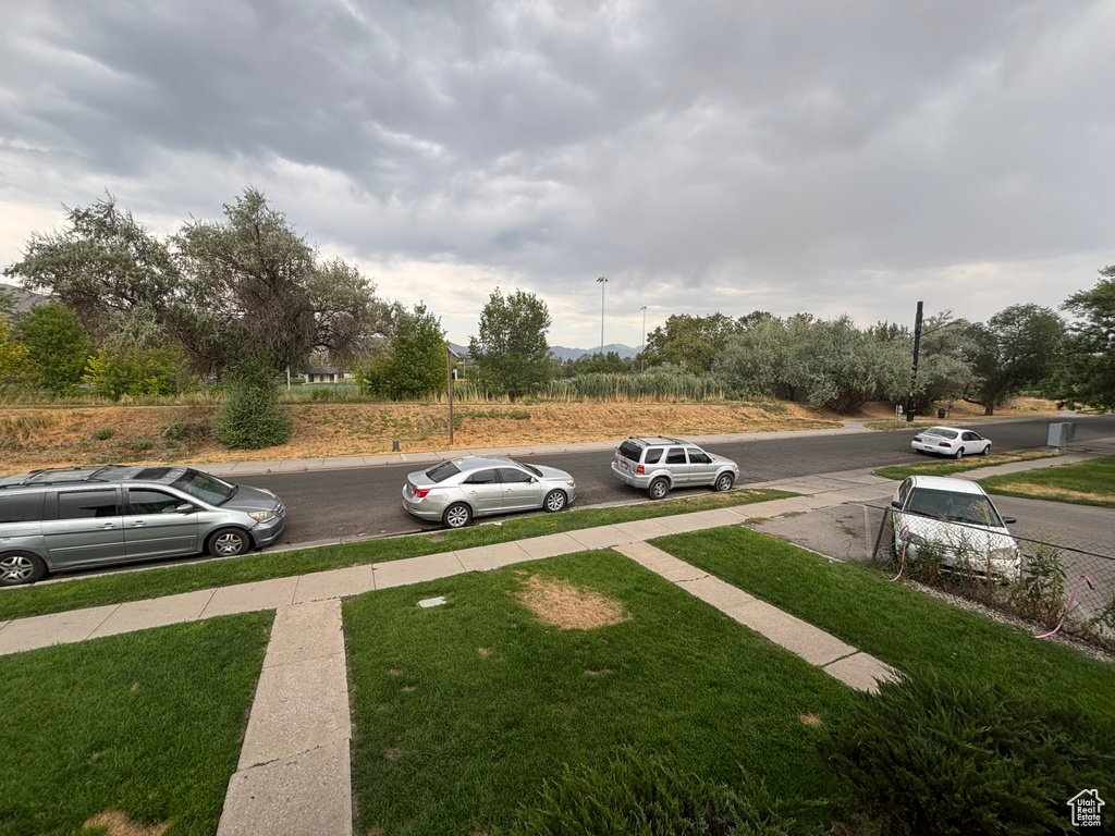 View of grassy yard