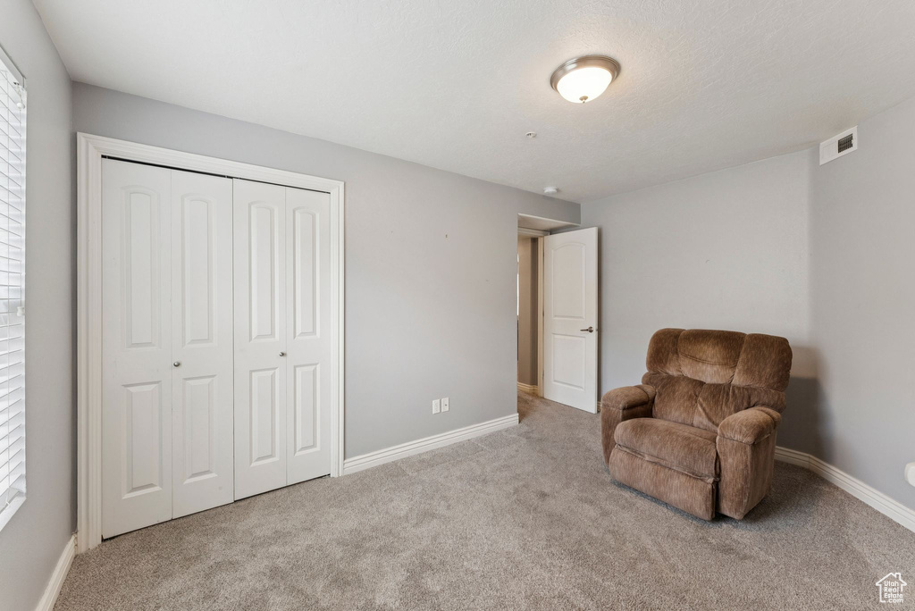 Sitting room featuring carpet flooring and plenty of natural light