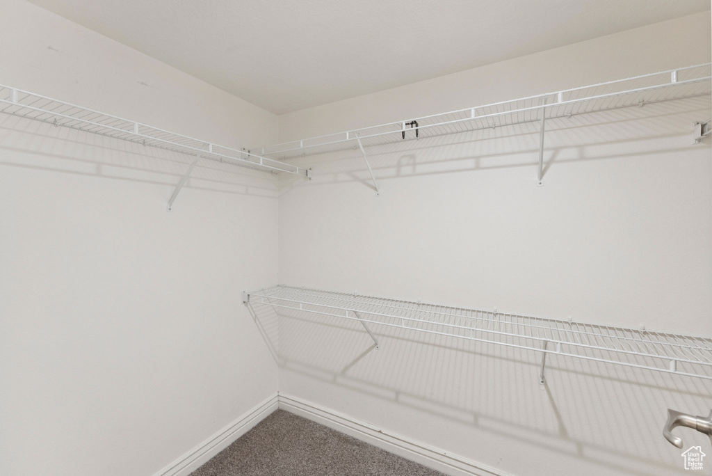 Walk in closet with carpet