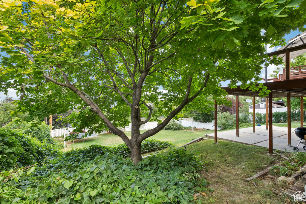 View of yard featuring a patio and a deck