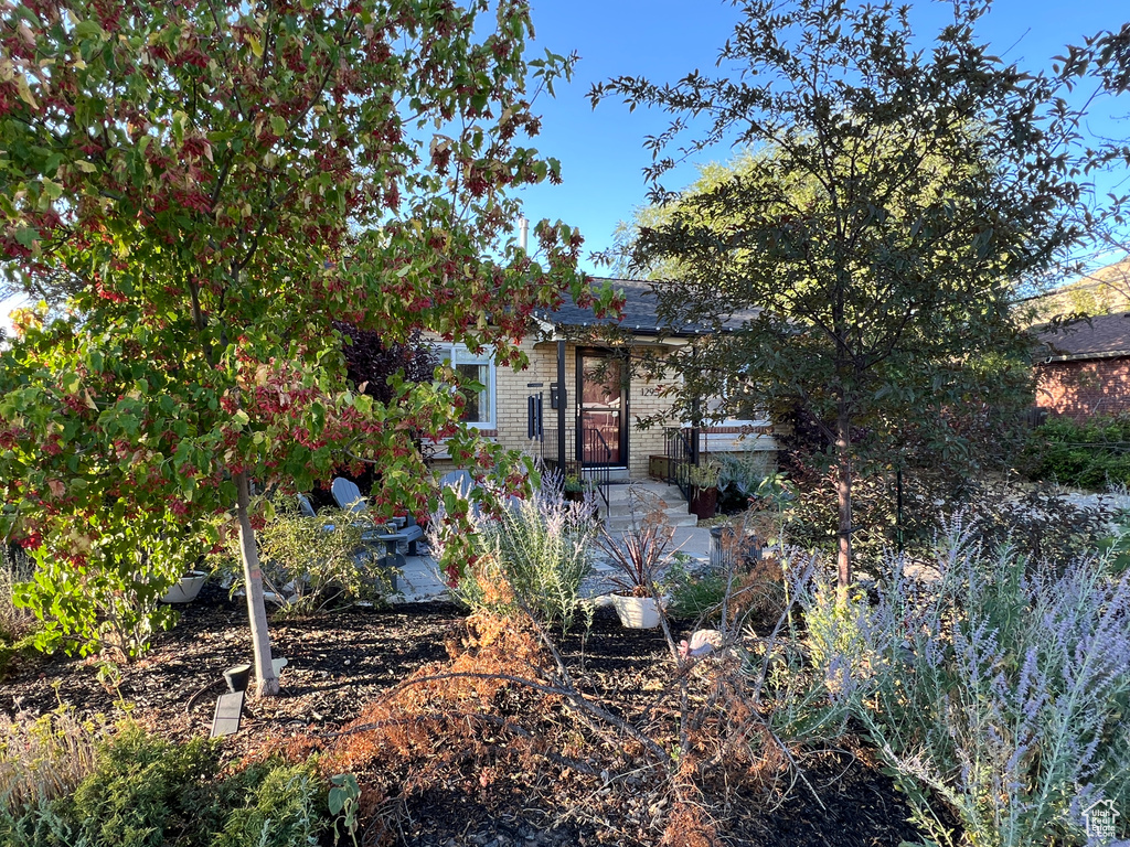1295 E 900 N Logan, UT 84321