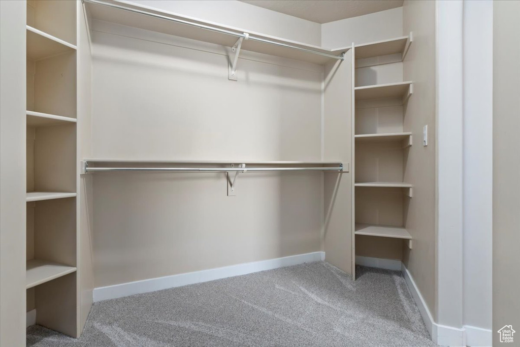 Walk in closet with carpet flooring