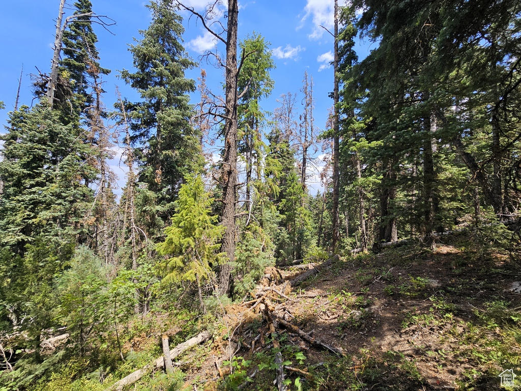 28  SUGAR PINE DR Mt Pleasant, UT 84647