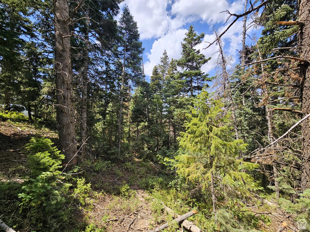 28  SUGAR PINE DR Mt Pleasant, UT 84647
