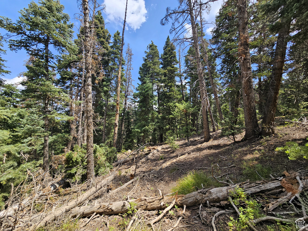 28  SUGAR PINE DR Mt Pleasant, UT 84647