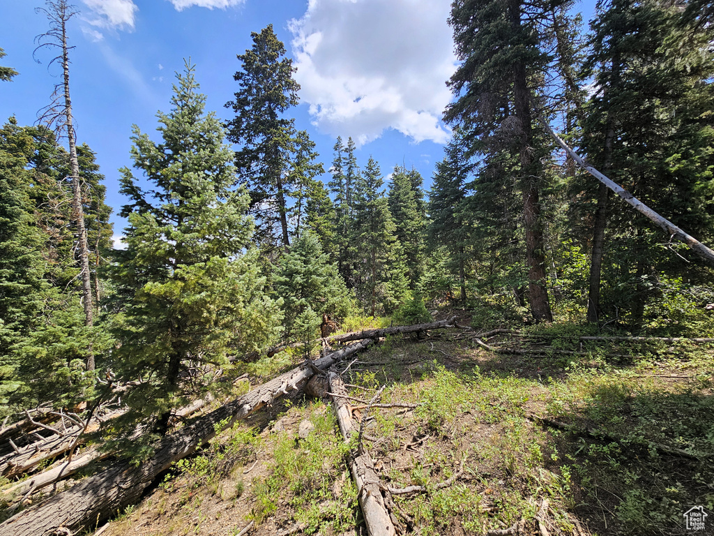 28  SUGAR PINE DR Mt Pleasant, UT 84647