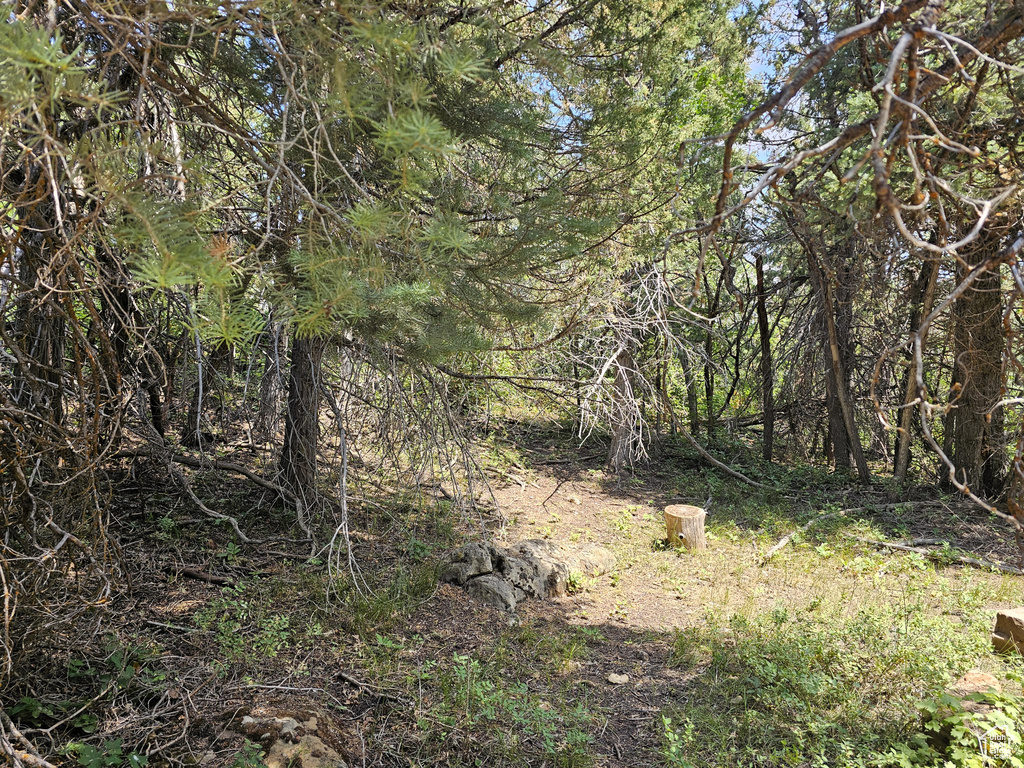 29  SUGAR PINE DR Mt Pleasant, UT 84647