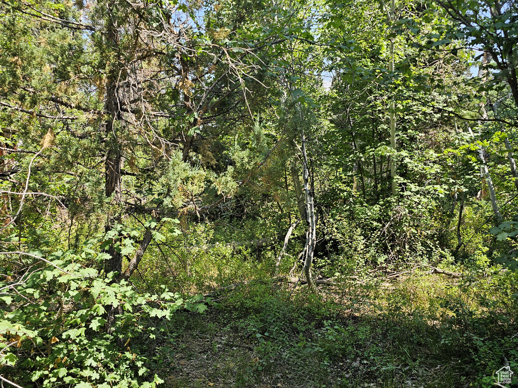 29  SUGAR PINE DR Mt Pleasant, UT 84647