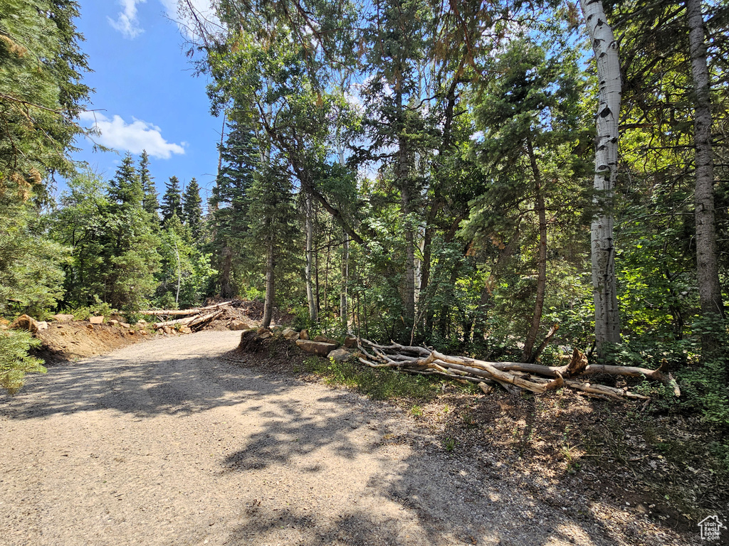 29  SUGAR PINE DR Mt Pleasant, UT 84647
