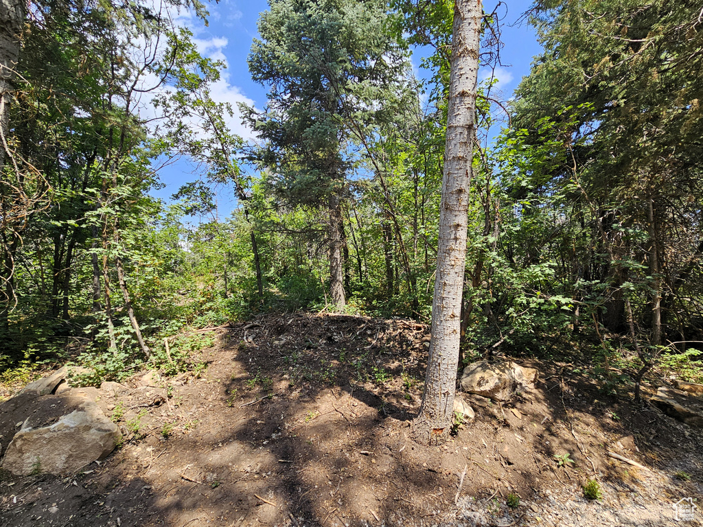 29  SUGAR PINE DR Mt Pleasant, UT 84647