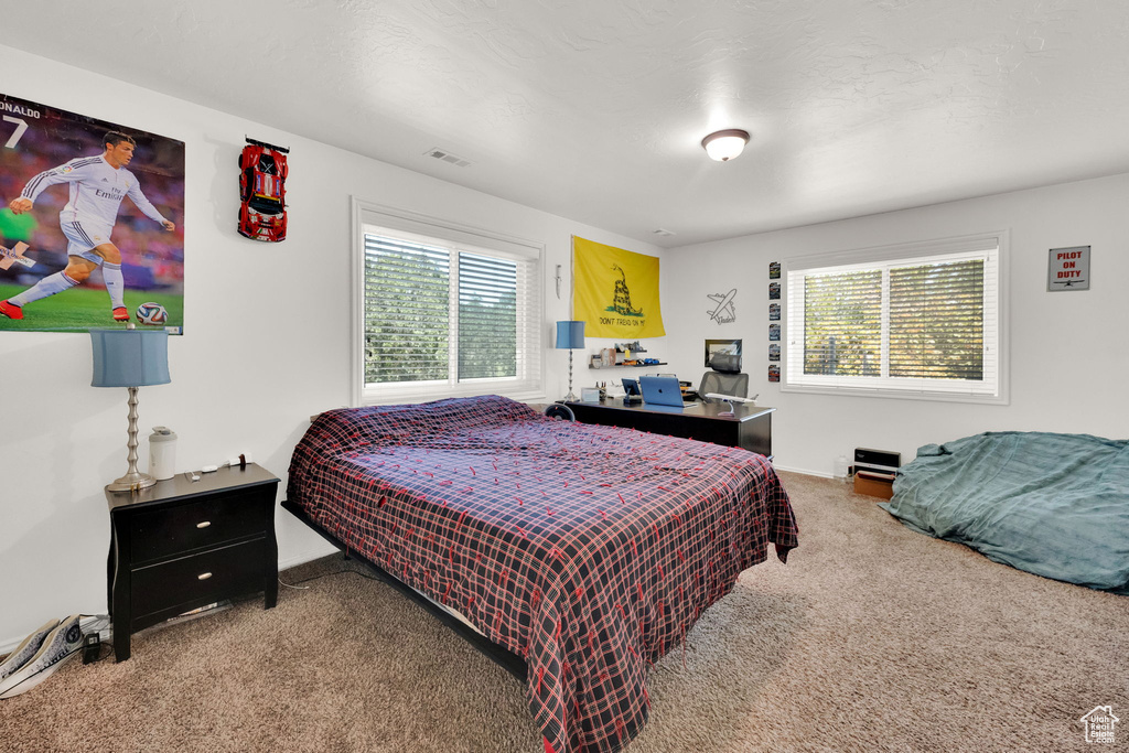 9428 S LIBERTY CREEK DR South Jordan, UT 84009