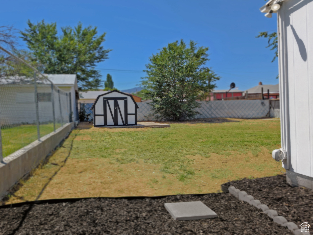 Fenced backyard with a storage unit