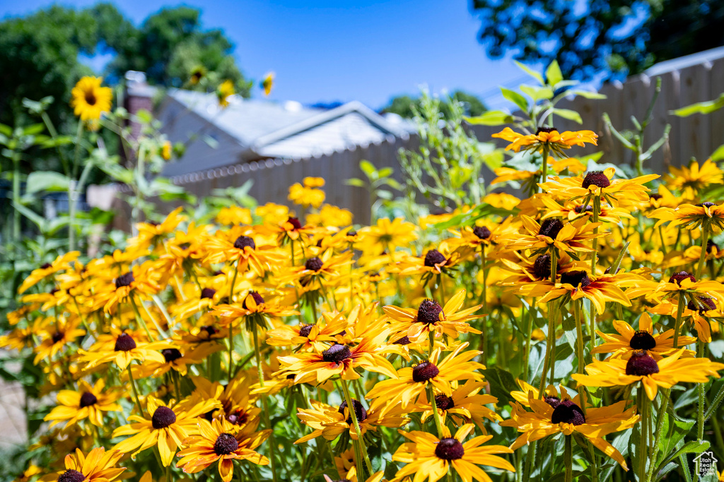 1912 S NEVADA ST Salt Lake City, UT 84108