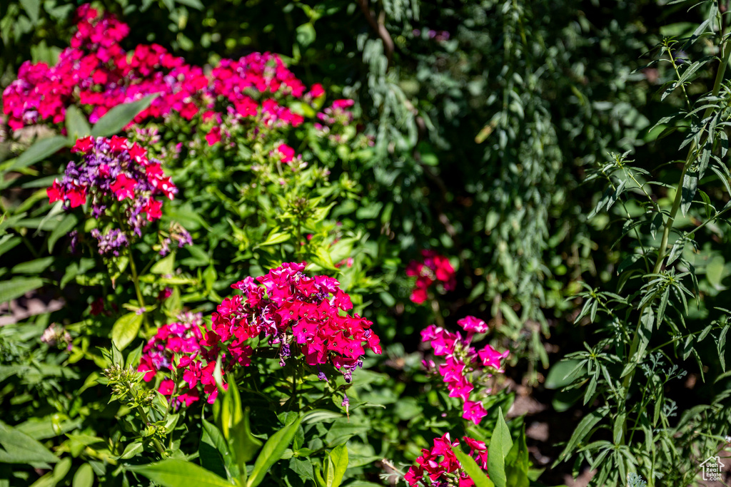 1912 S NEVADA ST Salt Lake City, UT 84108