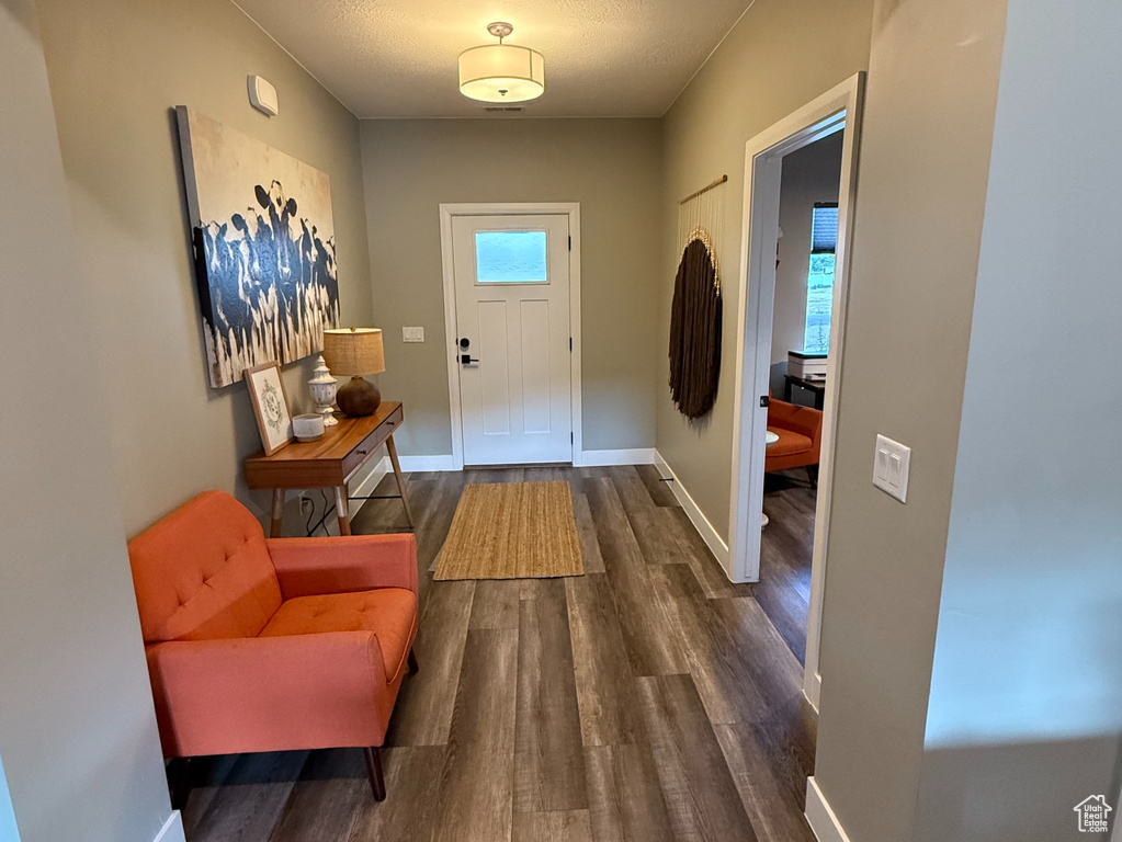 Foyer entrance featuring dark wood-type flooring