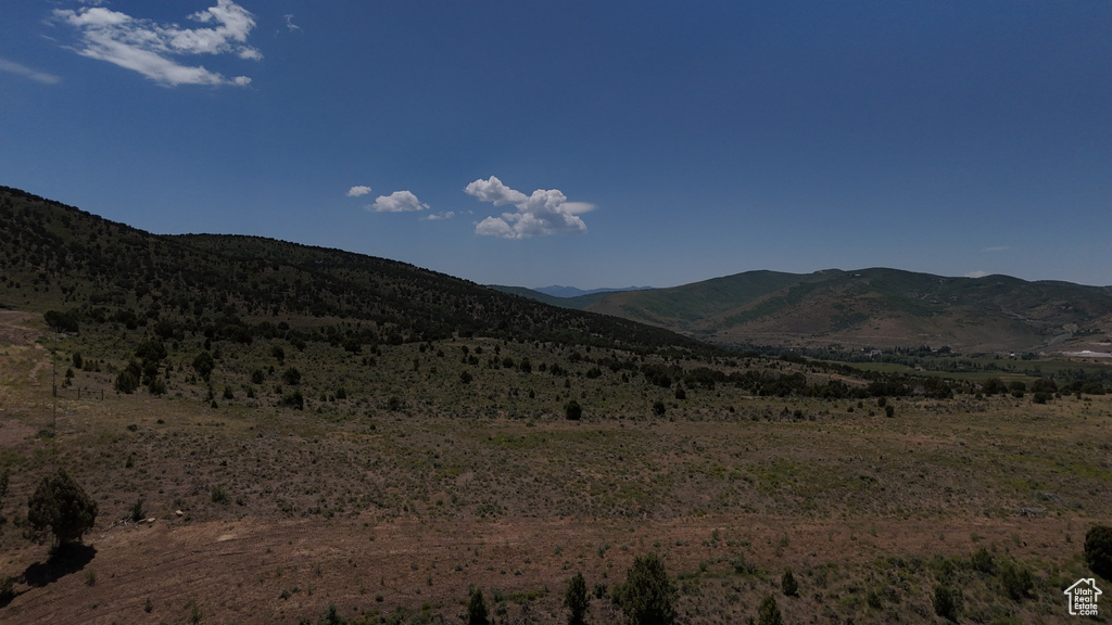 1167  TRAIL RIDGE DR Wanship, UT 84017