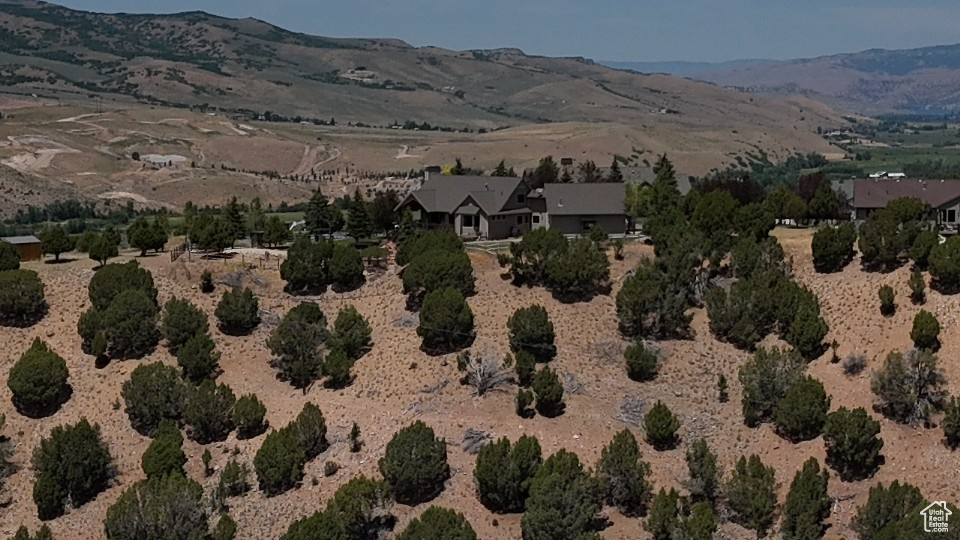 1167  TRAIL RIDGE DR Wanship, UT 84017