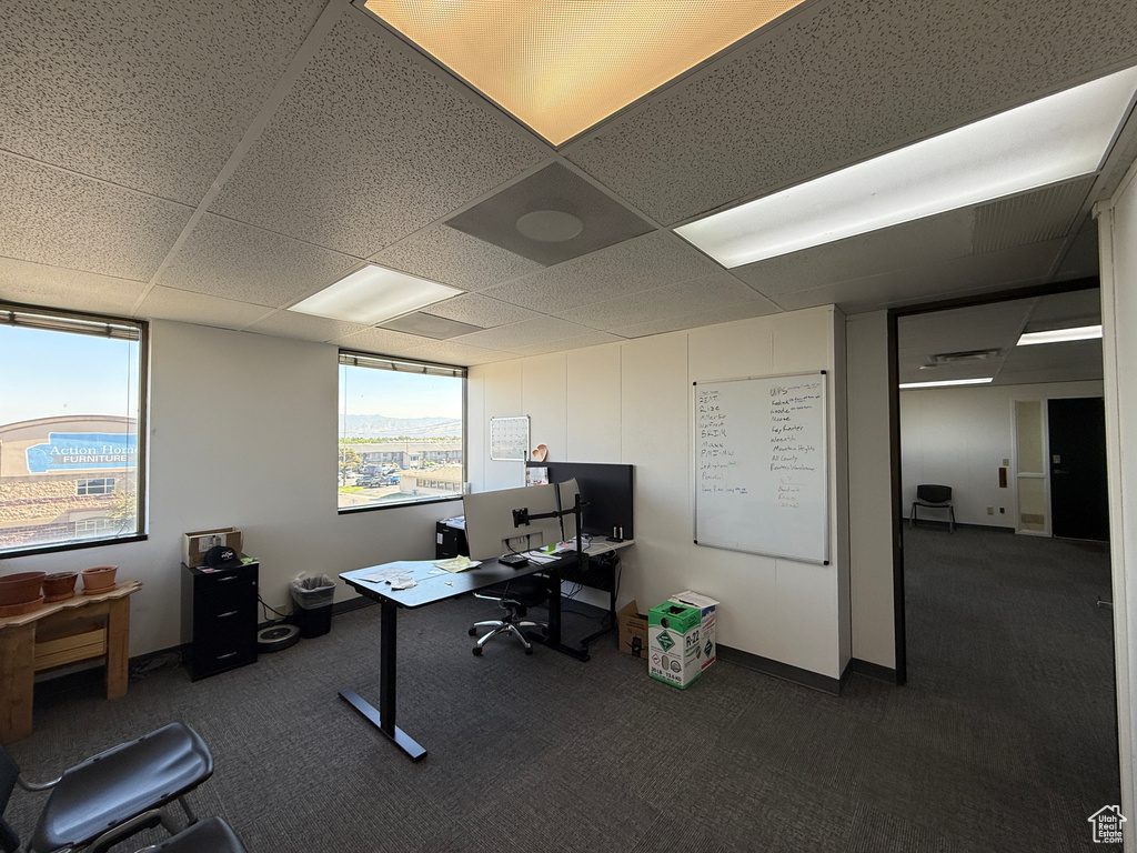 Office space with dark carpet and a drop ceiling
