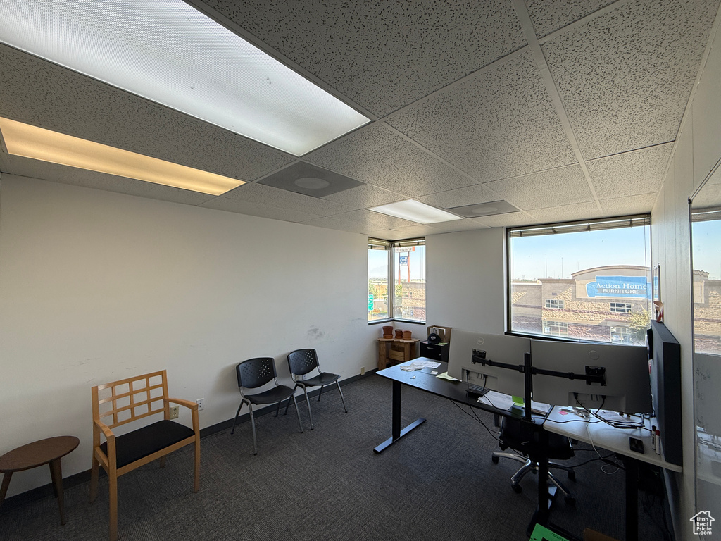 Office with carpet floors