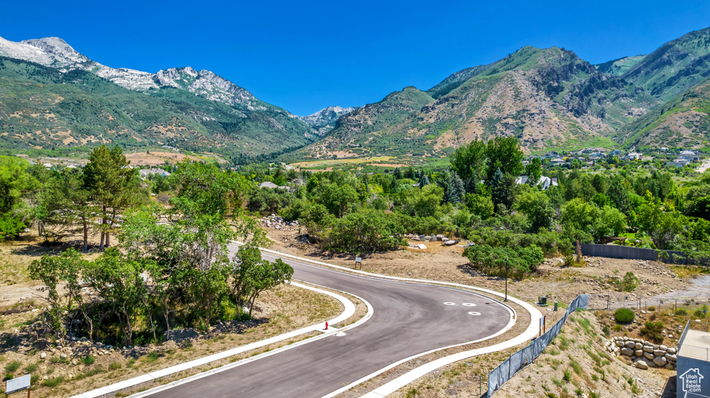 848 E CHERRYPOINT LN Alpine, UT 84004