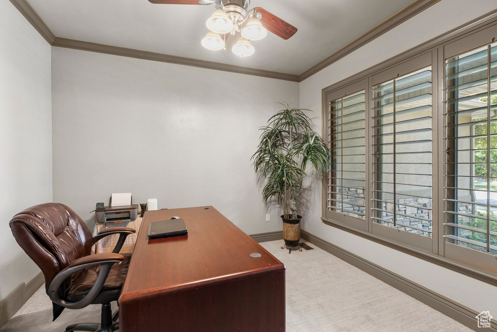 Carpeted office space with ceiling fan and crown molding