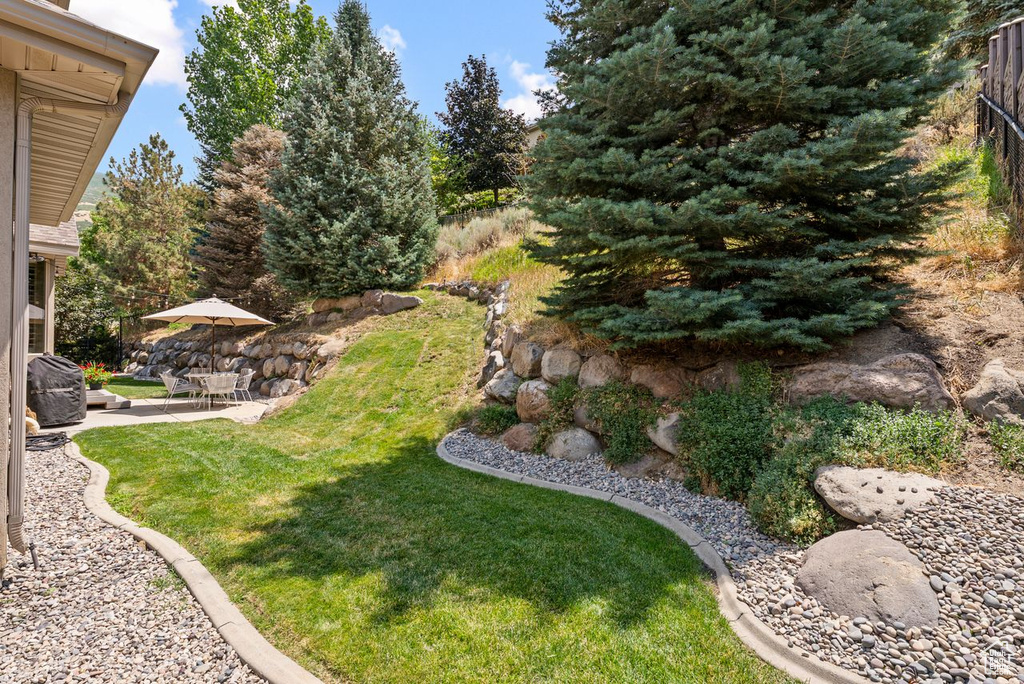 View of yard featuring a patio area