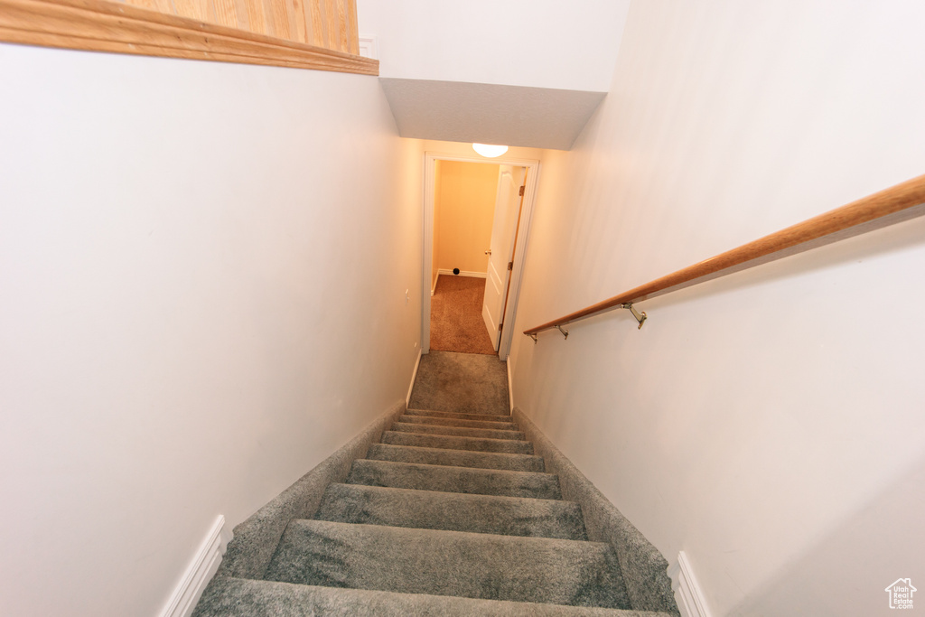 Staircase with carpet and baseboards