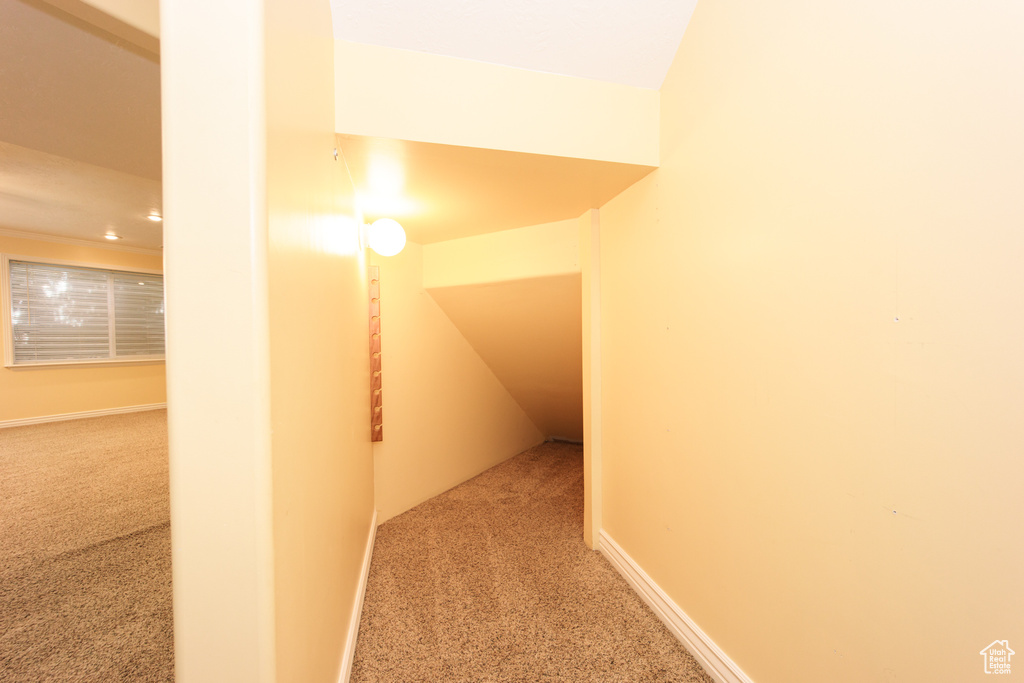 Corridor with carpet