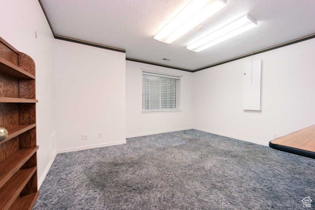 Unfurnished room with carpet floors and a textured ceiling