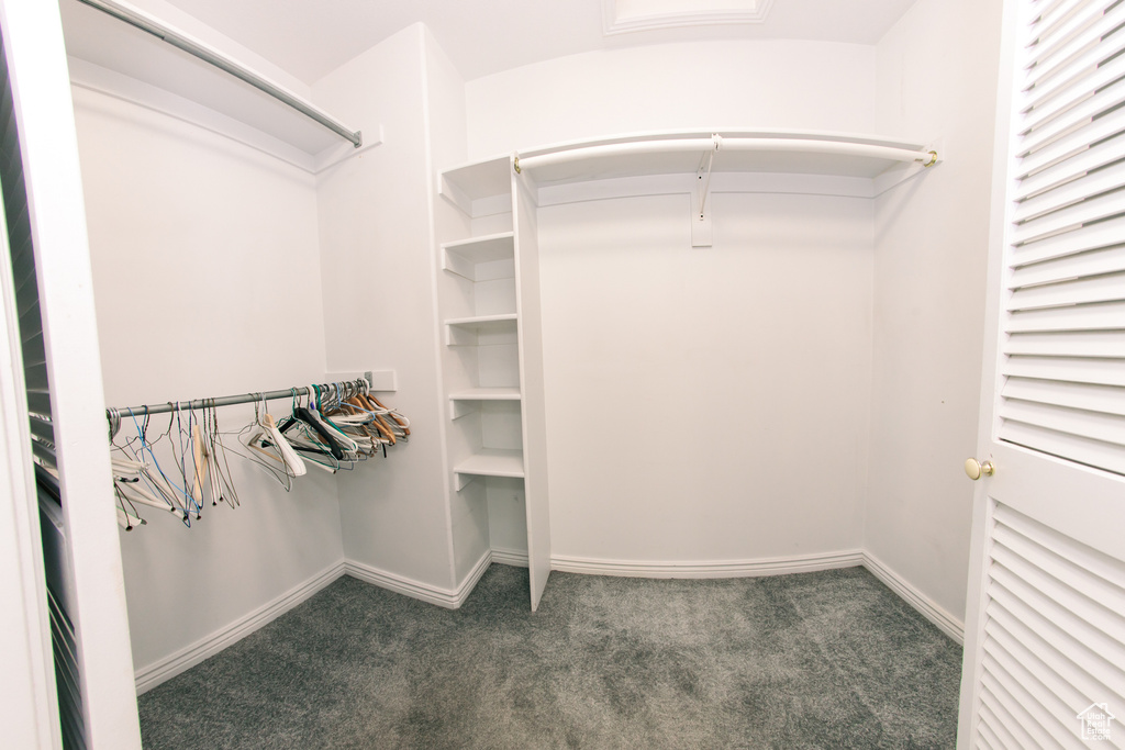 Walk in closet with carpet floors