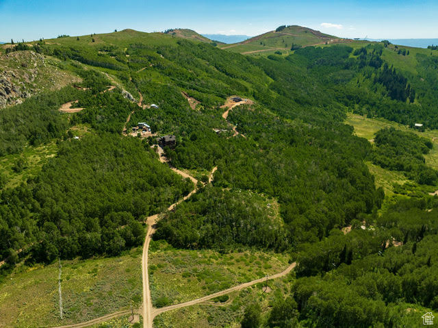 Aerial view of property's location with a mountainous background and a forest