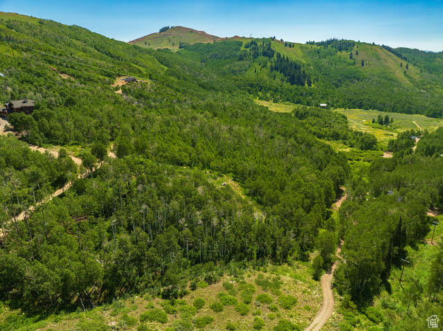 Mountain view featuring a heavily wooded area