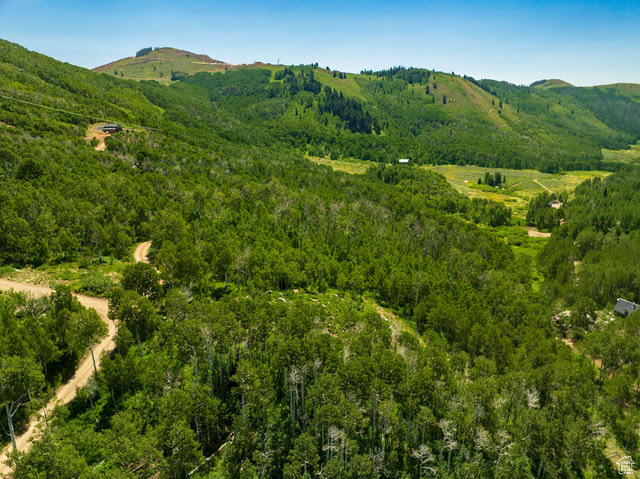 View of mountain background featuring a heavily wooded area