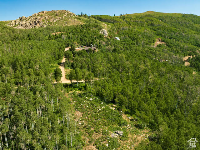 View of mountain backdrop featuring a forest