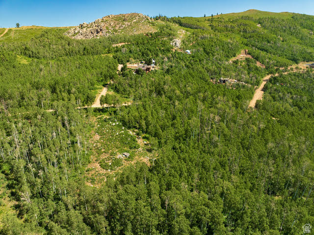 Aerial overview of property's location featuring a mountain backdrop and a forest
