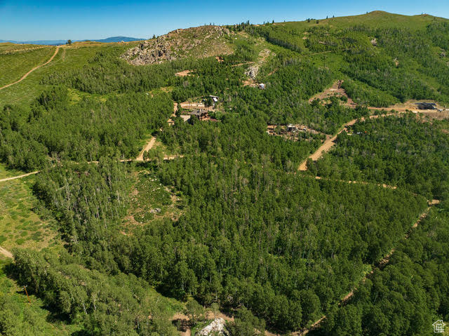 Aerial view of property and surrounding area with a forest
