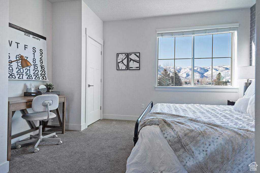695 E MAIN ST #R-203 Midway, UT 84049