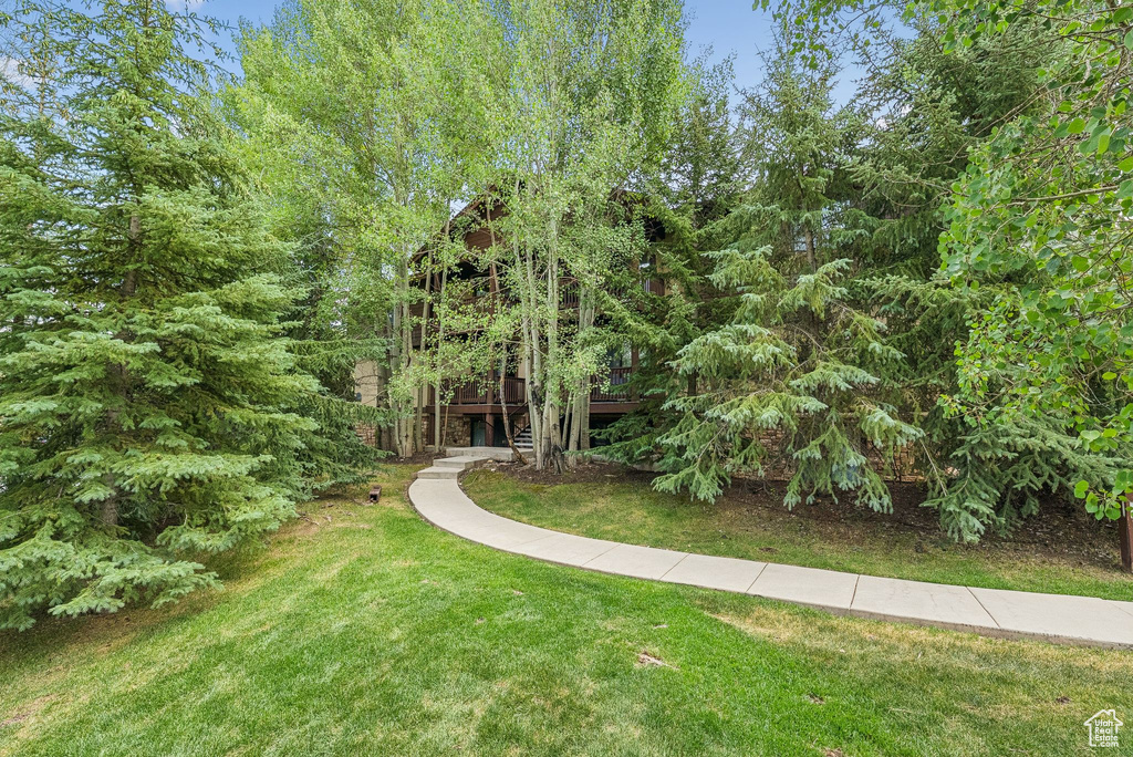 1600 W PINEBROOK BLVD #B6 Park City, UT 84098