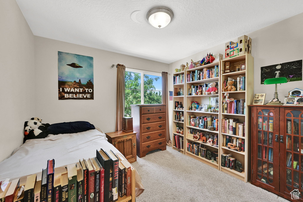 11278 S ROPEMAKER RD South Jordan, UT 84095