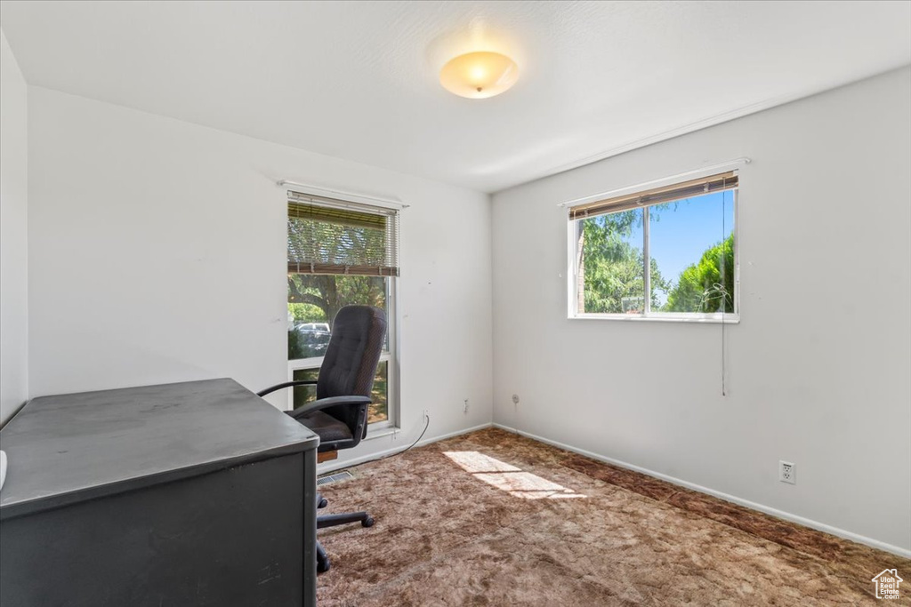 Office with plenty of natural light and carpet floors