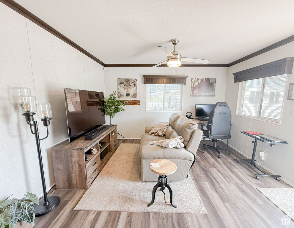 Living room with ornamental molding, light wood-style flooring, plenty of natural light, and ceiling fan