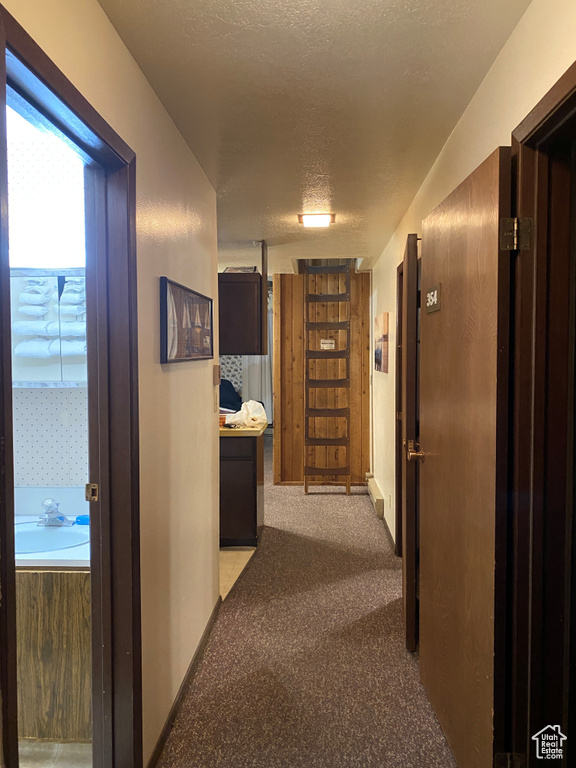 2176 S BEARLAKE BLVD BLVD #353-55 Garden City, UT 84028