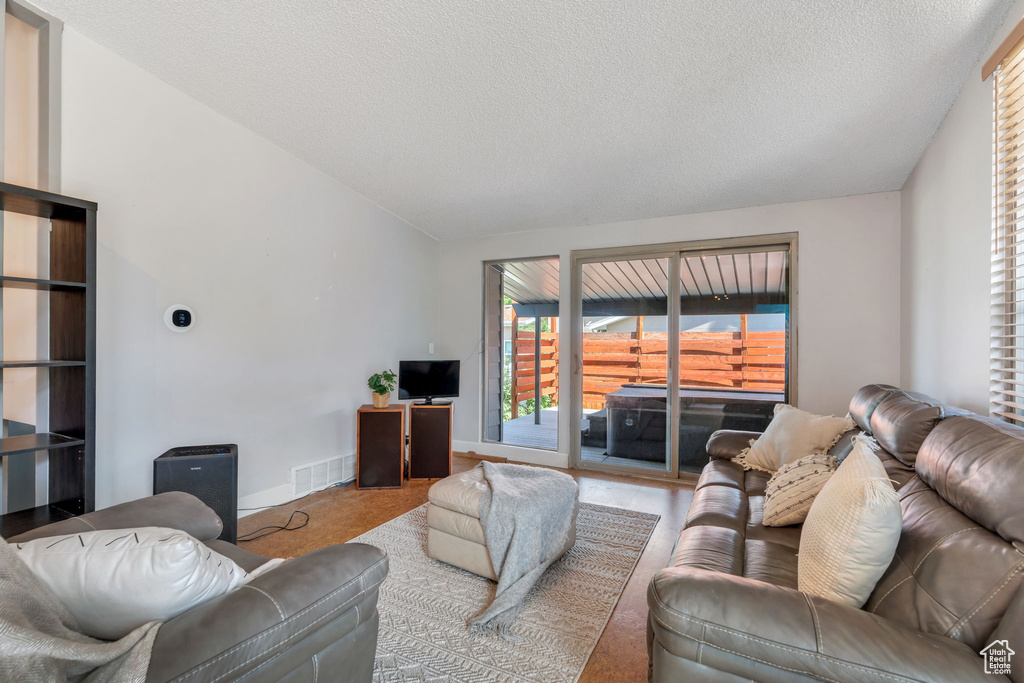 Living room featuring lofted ceiling and a textured ceiling