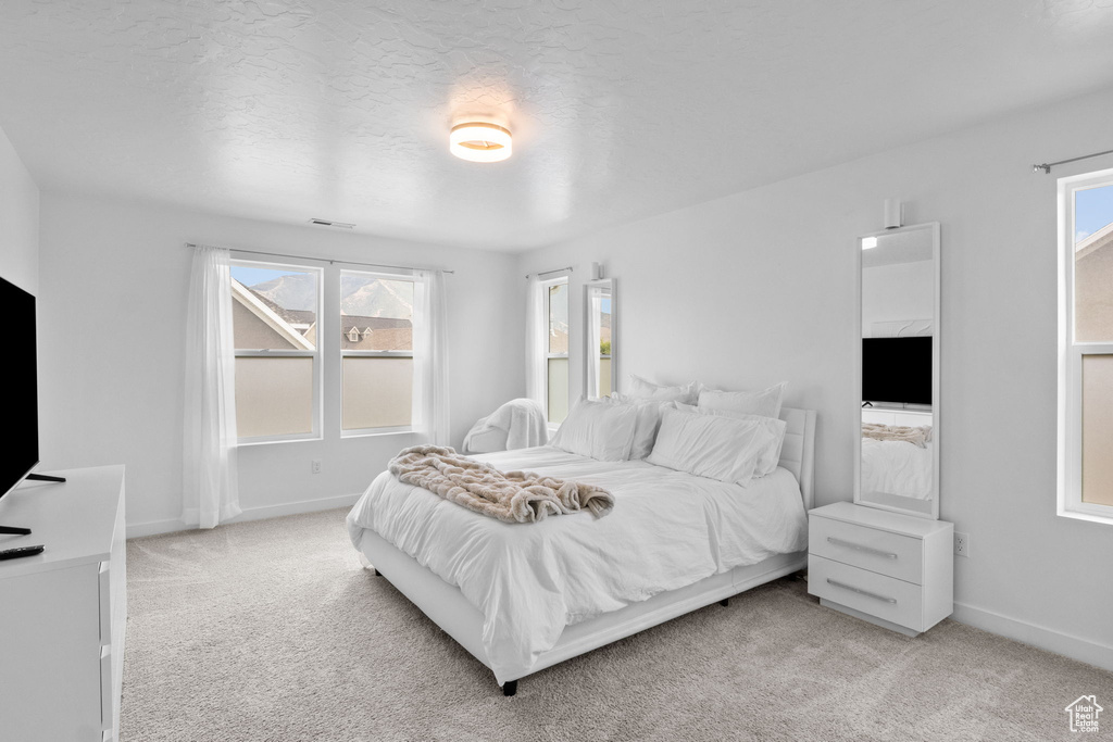 873 S SUNFLOWER LN Mapleton, UT 84664