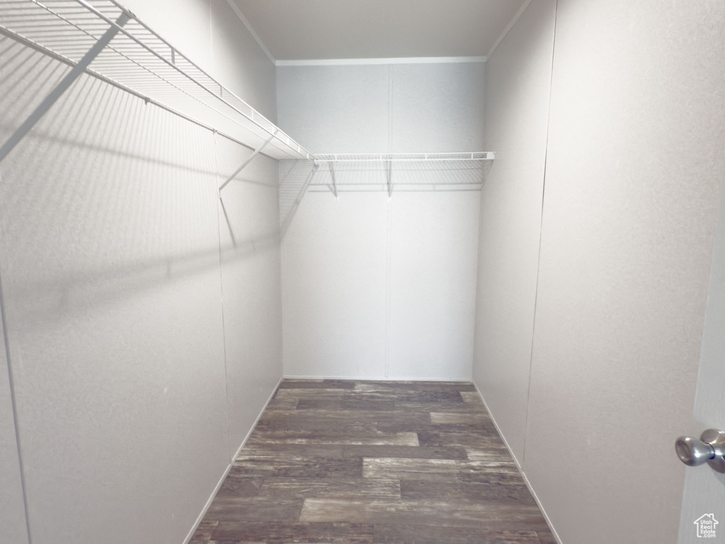 Walk in closet with wood finished floors