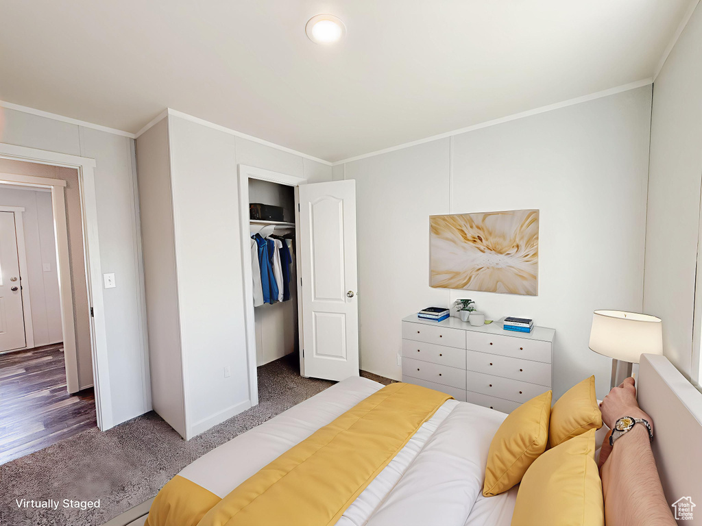 Carpeted bedroom with crown molding and a closet