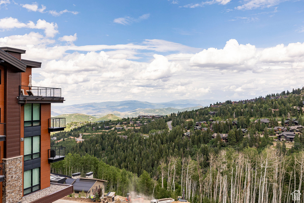 View of mountain backdrop with a heavily wooded area